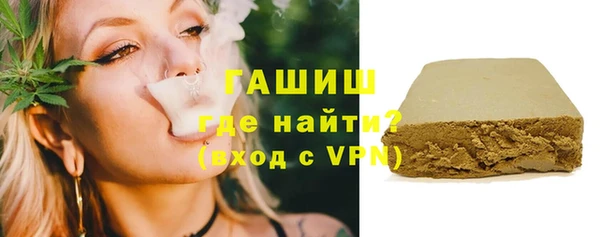 индика Шадринск