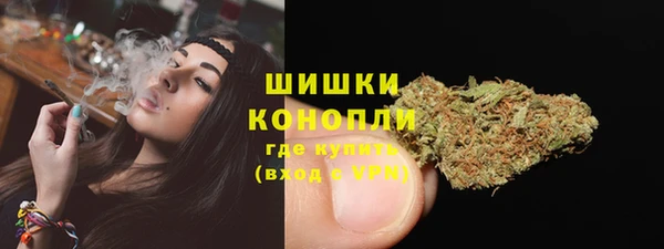 ECSTASY Ладушкин