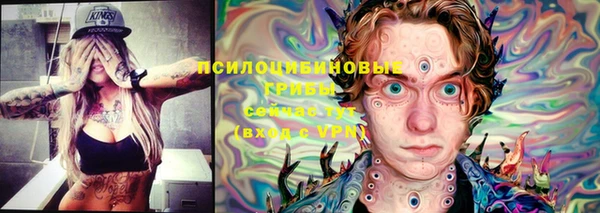ECSTASY Ладушкин