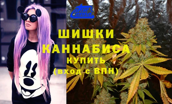 ECSTASY Ладушкин