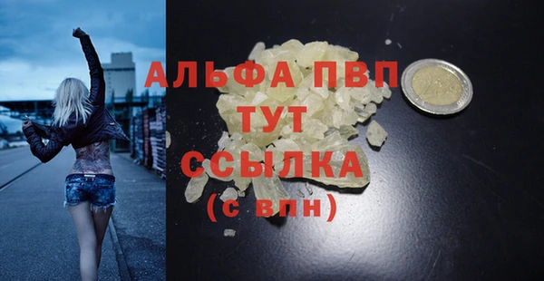 ECSTASY Ладушкин
