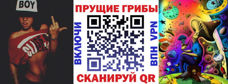 Псилоцибиновые грибы Psilocybine cubensis  где купить наркотик  Алапаевск 